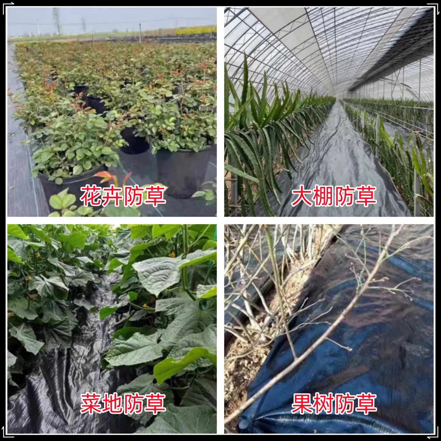 绥化市果树反光膜防草布 - 价格