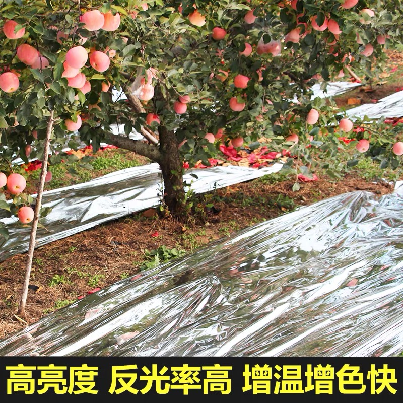 绥化市塑料薄膜果树反光膜 - 排名